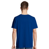 #color_royal blue